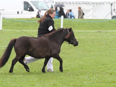 Det Fynske Dyrskue 2010