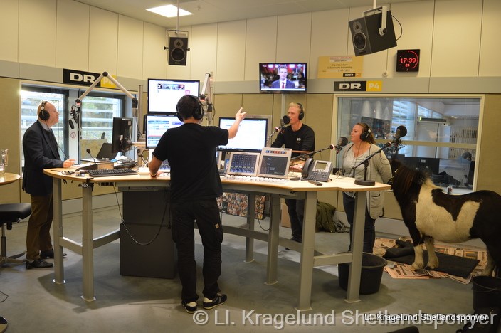 Ll. Kragelunds Elfie i live radio