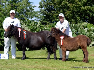 Brahetrolleborg Skue 2015